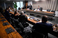 CI aprova projeto que simplifica exploração de rochas ornamentais