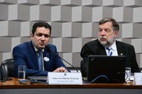 Não houve cortes em bolsas de estudos, afirma presidente da Capes em audiência