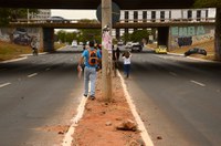 Senado debate mobilidade urbana a pé nos municípios brasileiros