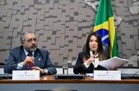 Comissão sobre migrações e refugiados elege presidente e vice