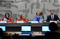 Para debatedores, formulário sinaliza riscos de violência contra mulheres