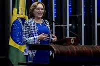 Zenaide Maia ataca projeto que libera empresas da cota para pessoas com deficiência