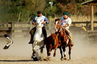 Dia Nacional do Rodeio é definido em lei