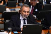 Plenário deve analisar projeto que proíbe abate de gatos, cães e aves pelo poder público