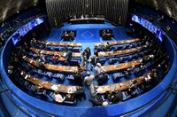 Aprovado projeto que veda a eliminação de cães, gatos e aves em órgãos de controle de zoonoses