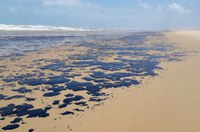 Publicada MP que libera verba para pescadores afetados por manchas de óleo