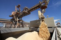 Comércio internacional agropecuário será avaliado na CRA na terça-feira