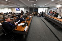 Adiada para 2020 votação do Estatuto da Segurança Privada