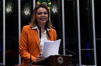 Leila Barros conclui ano com 45 proposições de sua autoria