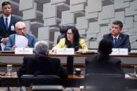 CPIs em 2019 abordaram Brumadinho e fake news