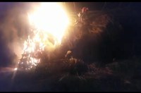 Contarato pede reação a ataques contra indígenas no Mato Grosso do Sul