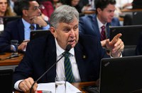 Brasil poderá ter marco regulatório dos animais de estimação