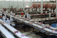 Proposta reduz impostos para segurar alta dos preços da carne bovina