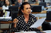 Comissão analisa projeto que facilita pagamento de fatura de lojas