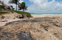 Comissão analisa MP que libera dinheiro a pescadores prejudicados por óleo