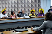 CDH recebe comitiva indígena; votação de projetos é adiada para quarta