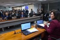 CCJ adia para março votação da PEC dos Fundos Públicos