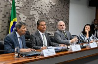 Grupo Parlamentar Brasil-Países Árabes define membros e regulamento interno