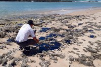 Relator apresenta dia 17 análise da MP de ajuda a pescadores afetados por óleo