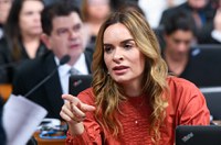 CE analisa facilitar venda de ingresso pela internet para pessoa com deficiência