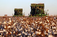 Sancionado com vetos texto da MP da renegociação das dívidas agrícolas