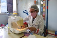 Projeto estabelece incentivos às costureiras de máscaras artesanais durante pandemia