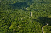 Projeto que transfere terra da União para Roraima e Amapá será enviado ao Senado