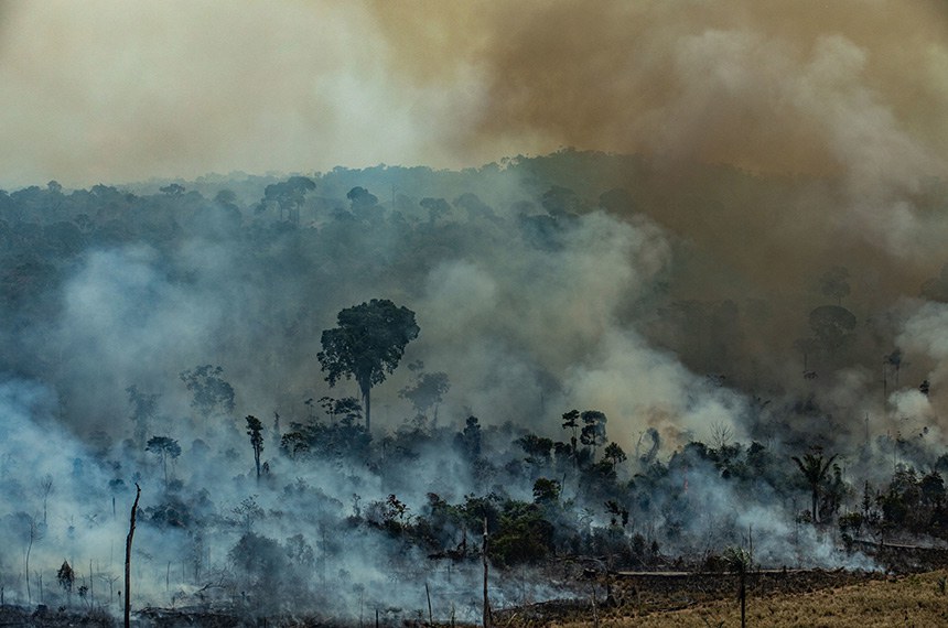 Queimadas na Amazônia serão proibidas durante pandemia, prevê projeto —  Senado Notícias