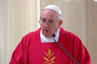 Senadores reforçam pedido de oração do papa Francisco por fim da pandemia