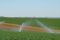 Parlasul debaterá agropecuária frente à pandemia e às mudanças climáticas