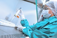 Senadores celebram participação do Brasil em pesquisa de vacina contra covid-19