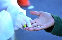 Senadores comentam sucesso da Nova Zelândia no combate ao coronavírus