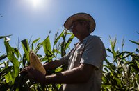 Senadores apresentam propostas para amenizar crise na agricultura