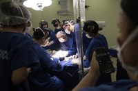 Senado avaliará suspensão de metas de prestadores do SUS na pandemia