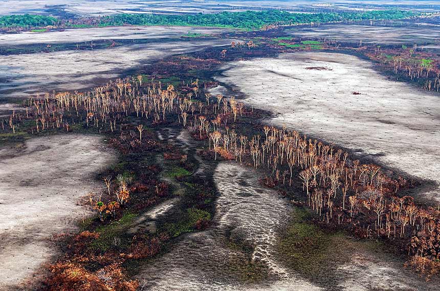 Parlamentares destacaram mudança da meta oficial de preservação da Amazônia pelo Ministério do Meio Ambiente, que desconsideraria o objetivo de redução do desmatamento e incêndios ilegais 