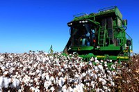 Bolsonaro promulga vetos derrubados pelo Congresso na Lei do Agro