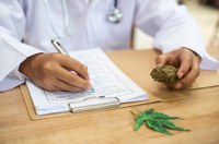 Senadores divergem sobre projeto que libera medicamentos à base de maconha