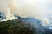 Comissão do Senado deve monitorar ações contra incêndios no Pantanal