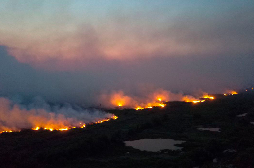 Escassez de água e fogo subterrâneo dificultam combate a incêndio no  Pantanal de MT perto da fronteira com a Bolívia, Mato Grosso