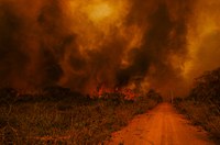 Senado instala nesta quarta comissão para acompanhar incêndios no Pantanal