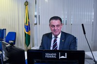 Senado define membros suplentes da Comissão do Pantanal