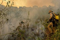 Incêndios no Pantanal: comissão visita Mato Grosso neste sábado