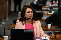 Senadores reclamam do pouco número de mulheres entre indicados a embaixadas