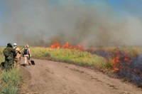Comissão do Pantanal ouve especialistas sobre efetividade do combate às chamas