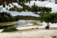 STF suspende resolução do Conama que revogava normas de proteção ambiental