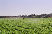 Projeto que amplia área de atuação da Codevasf está na pauta do Plenário