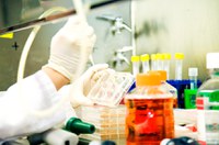 Uso de células-tronco embrionárias pode ser proibido