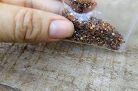 Senadores defendem investigação sobre envio de sementes a brasileiros