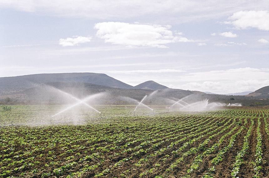 Projeto de irrigação da Codevasf em Minas Gerais 
