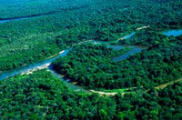 Preservação da Amazônia será tema de sessão temática no Plenário do Senado